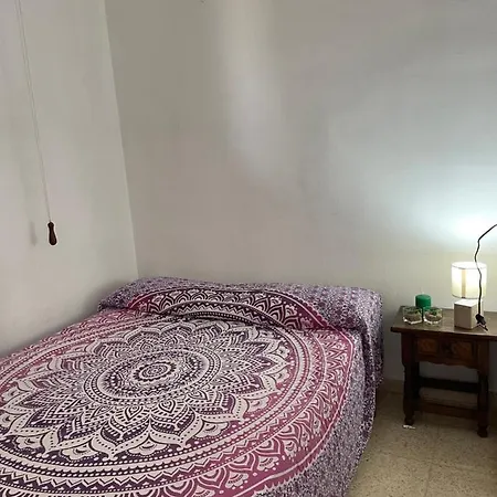 Eucaliptus Appartement